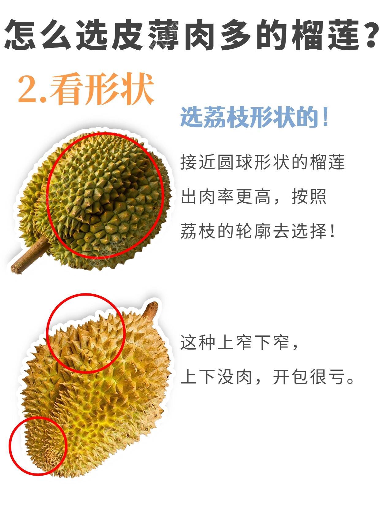 荔枝榴莲价格跳水近30%