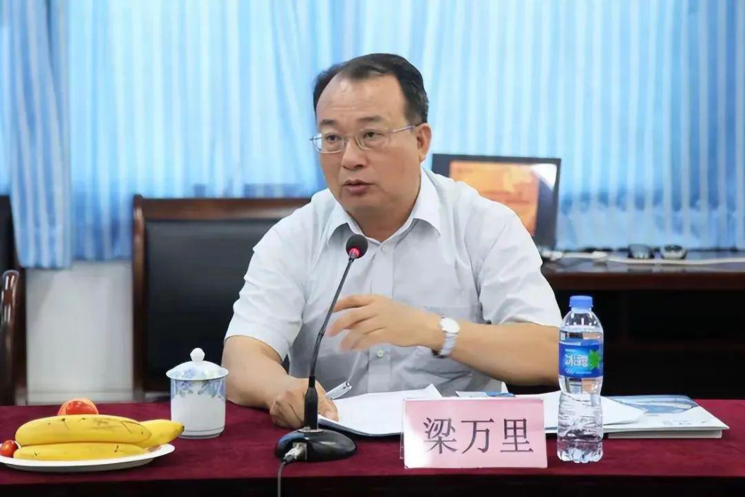 梁万里被开除党籍