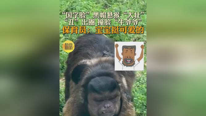 国字脸猴子大壮去世