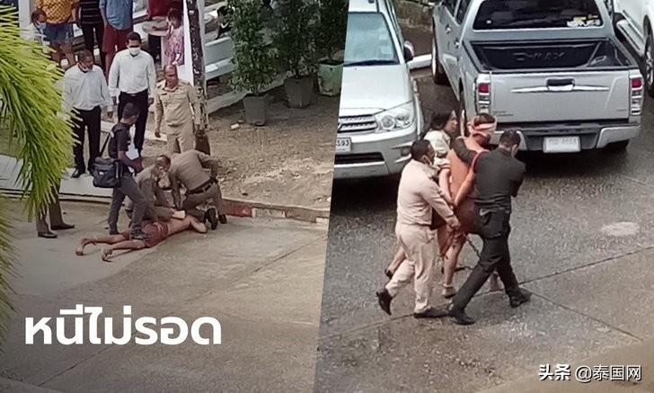 泰国猫咪袭警被捕超萌入狱照走红