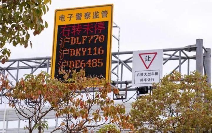 震惊！哈佛禁令不到一天就被叫停意味着啥？背后真相令人深思！
